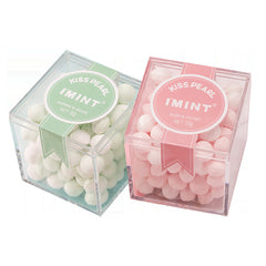 IMINT - Sugar-Free Mint Gum 90g