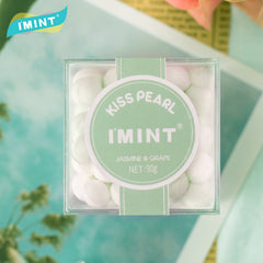 IMINT - Sugar-Free Mint Gum 90g